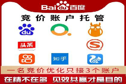 SEM托管公司案例：优化与增长